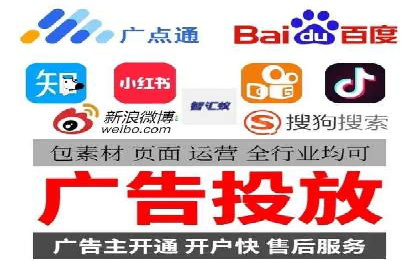 成功SEM服务案例分析报告